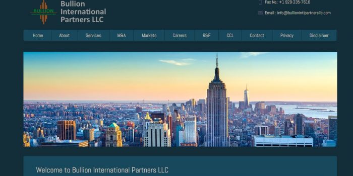 Bullion International Partners LLC Review