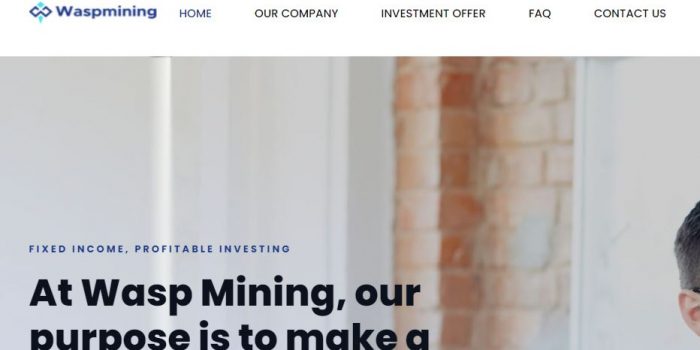 Wasp Mining Review
