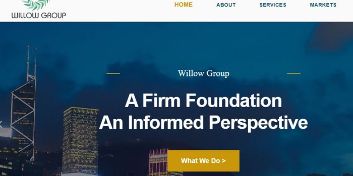 Willow Group Review