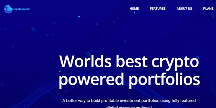 Cryptoprofixt Review