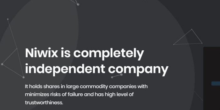 Niwix Review