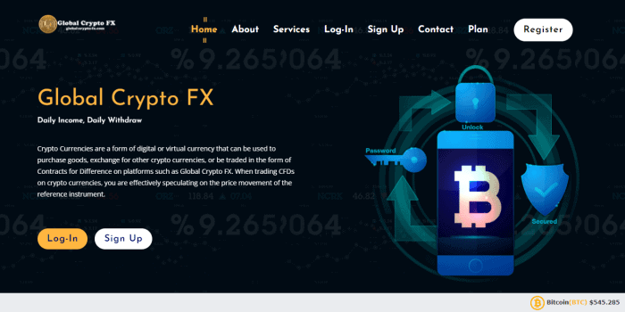 Global Crypto FX Review