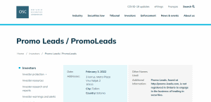 PromoLeads Review