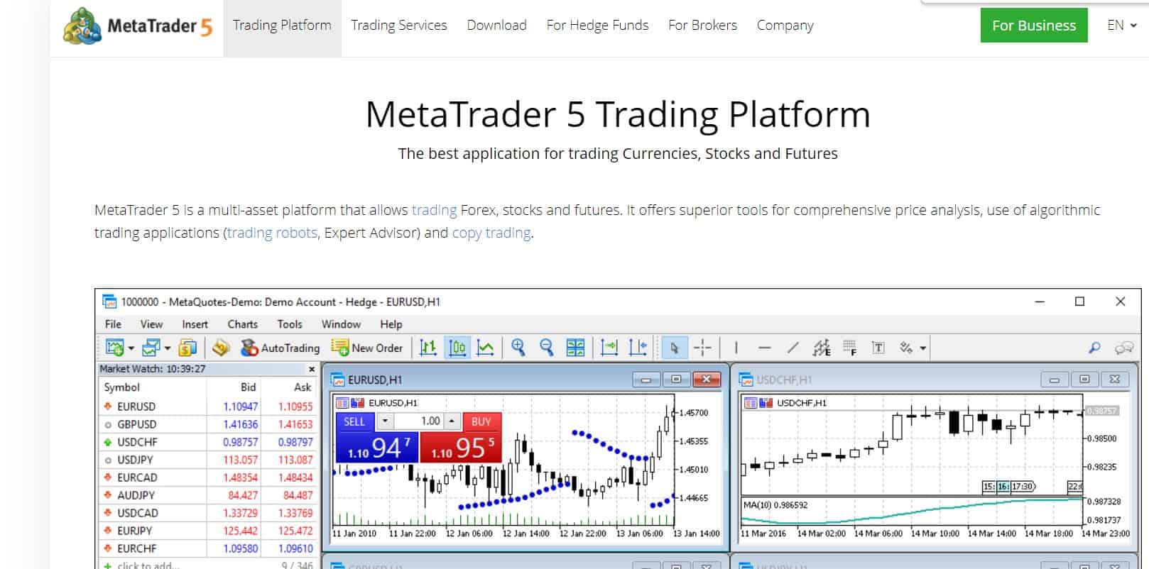 Metatrader5 scams