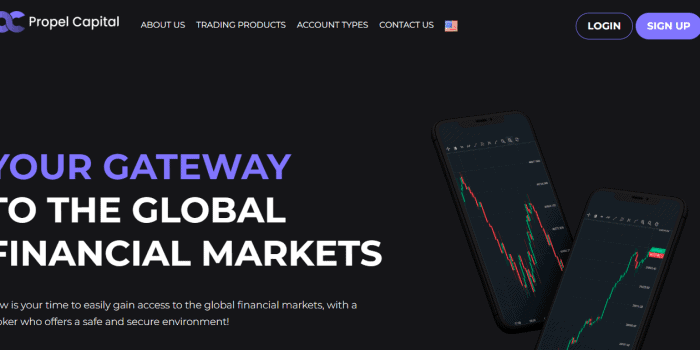Propel Capital Review