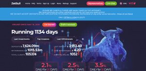 Zetbull Ltd Review