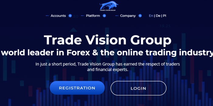 Trade Vision Group Review