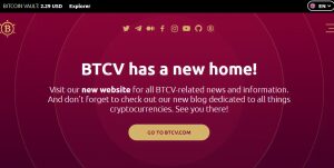 Bitcoin Vault Review