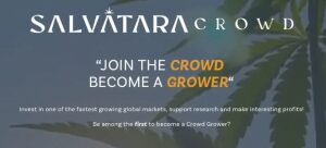 Salvatara Crowd Review