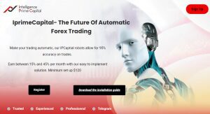 Intelligence Prime Capital Review