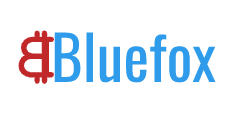 Bluefox Investment Review 1