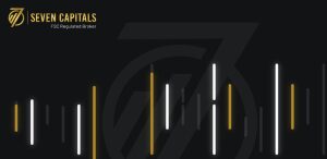 Seven Capitals Review