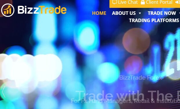 BizzTrade Review