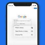 reverse image search