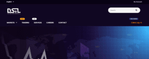 DSIL Investment Services LLC Review