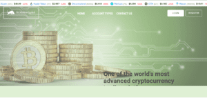 BitMarket Capital Review