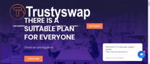 TRUSTYSWAP Review