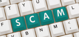 Terra Markets Review