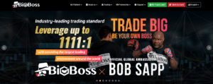 Bigboss Review