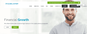 Global Expert Review