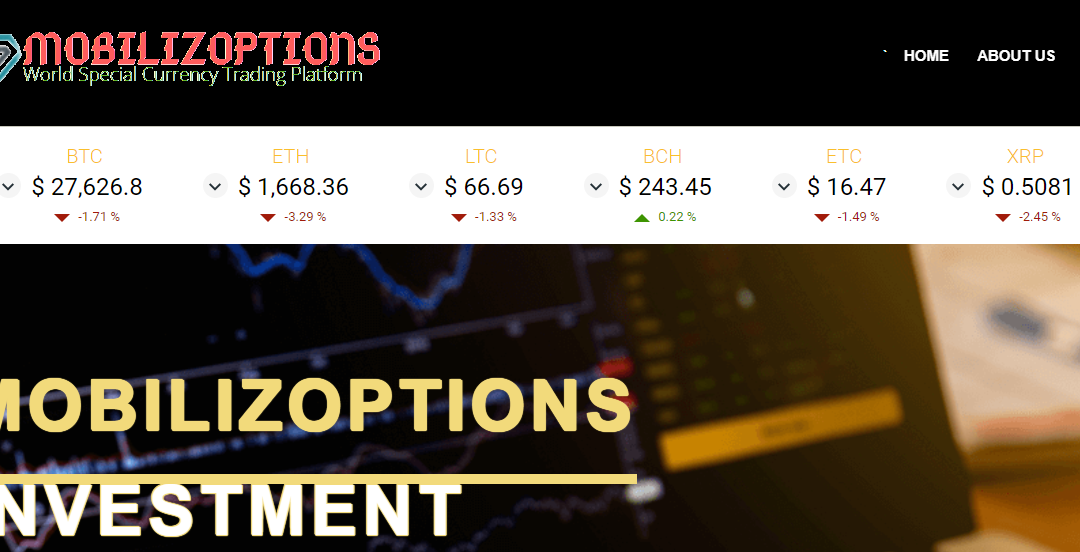 Mobilizoptions Review