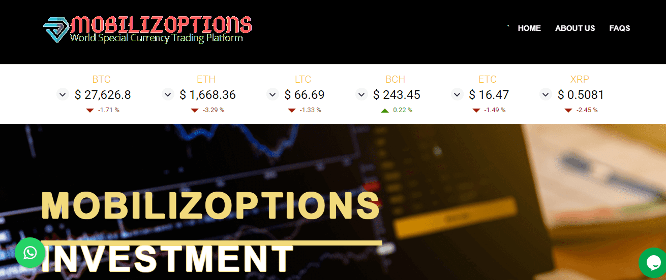 Mobilizoptions Review