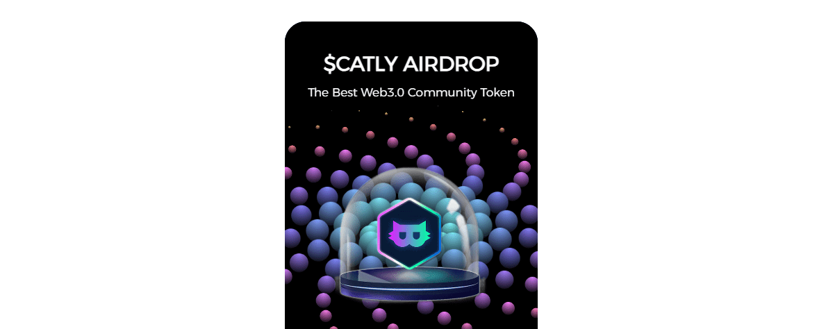 Catly.io Review