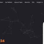 CapitalMarket24 Review