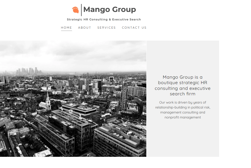 Mango Group LLC review