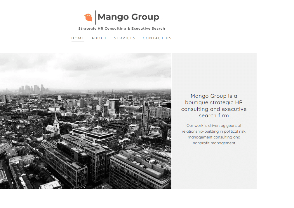 Mango Group LLC review