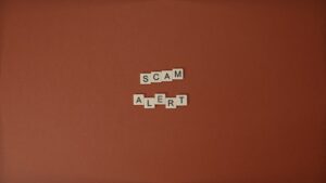 Phidom review