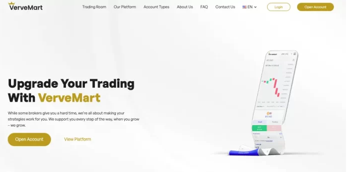 VerveMart Review