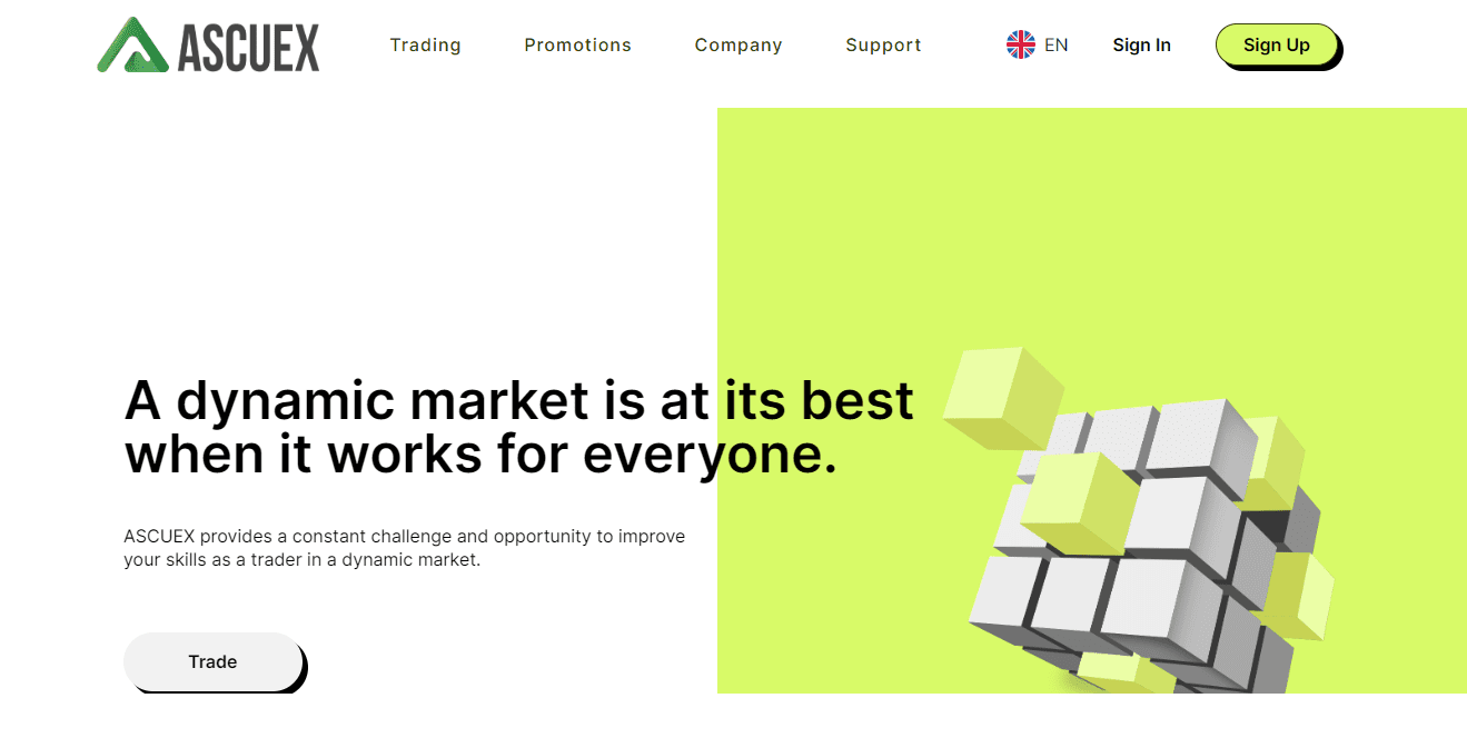 Ascuex Review
