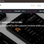 Standard Investment Hub Review