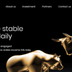 Rapitronix.Com review