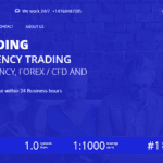 ProFocus Capital Ltd Review