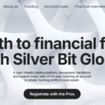 Silver Bit Global